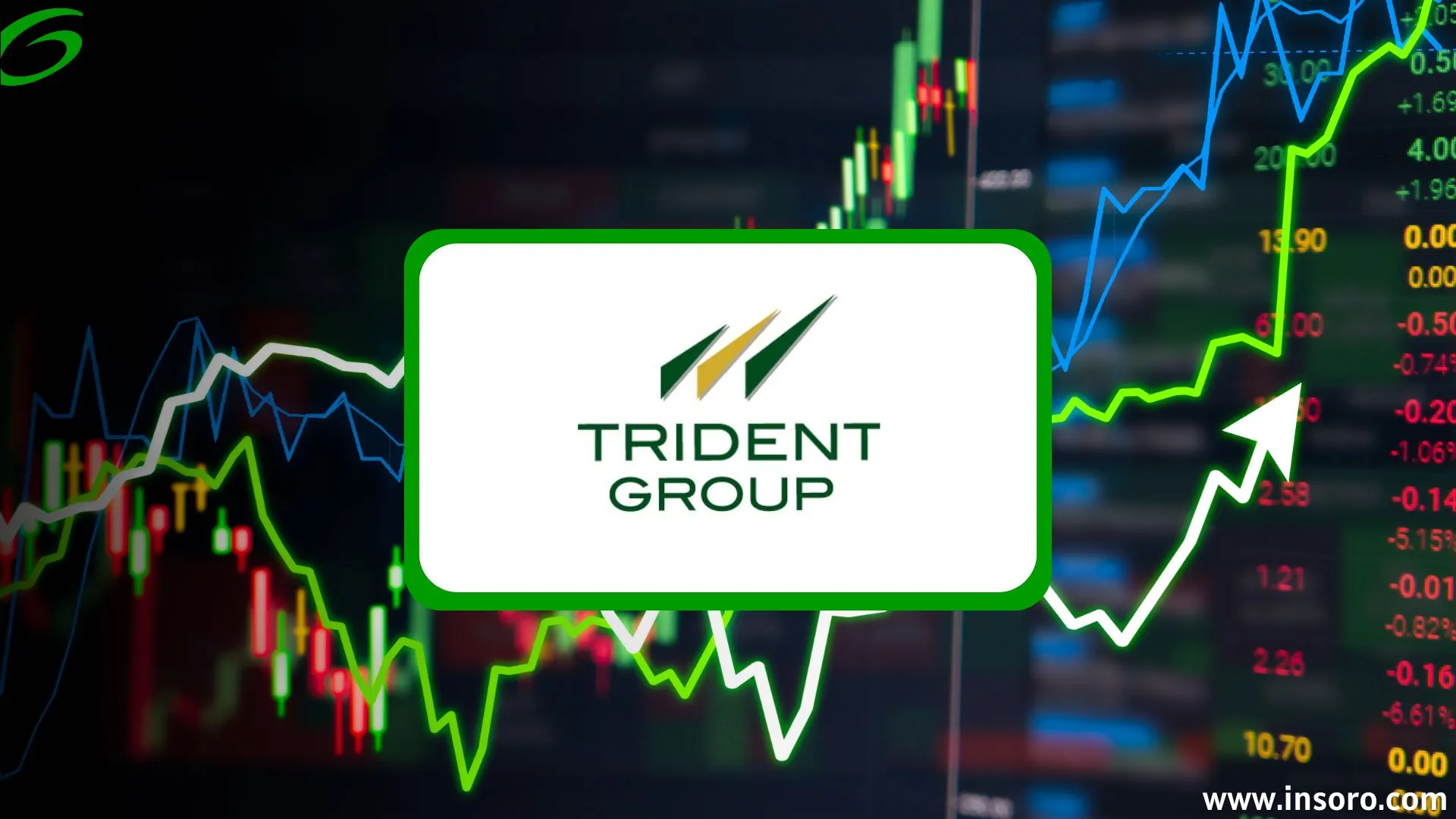 Trident Share Price Target 2030